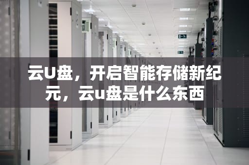 云U盘，开启智能存储新纪元，云u盘是什么东西