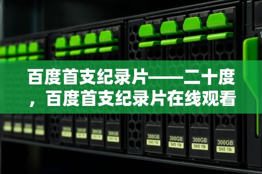 百度首支纪录片——二十度，百度首支纪录片在线观看