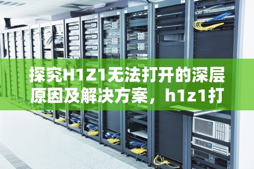 探究H1Z1无法打开的深层原因及解决方案，h1z1打不开提示无法访问指定设备