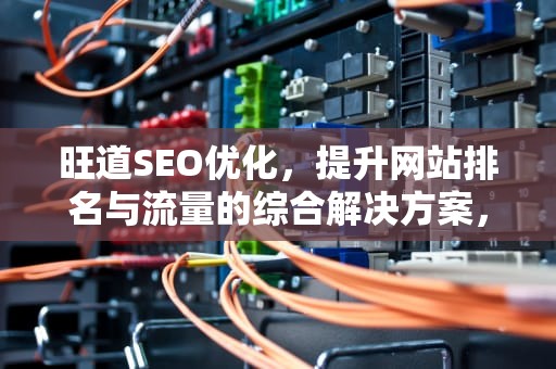 旺道SEO优化，提升网站排名与流量的综合解决方案，旺道网站优化