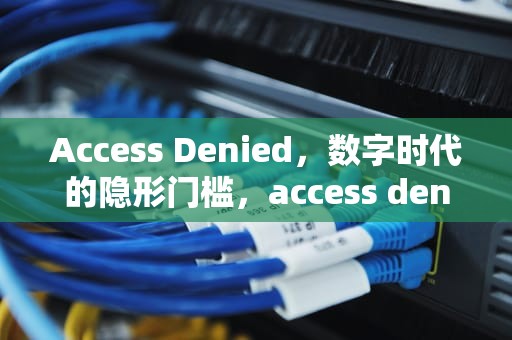 Access Denied，数字时代的隐形门槛，access denied for user root@localhost