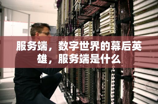 服务端，数字世界的幕后英雄，服务端是什么