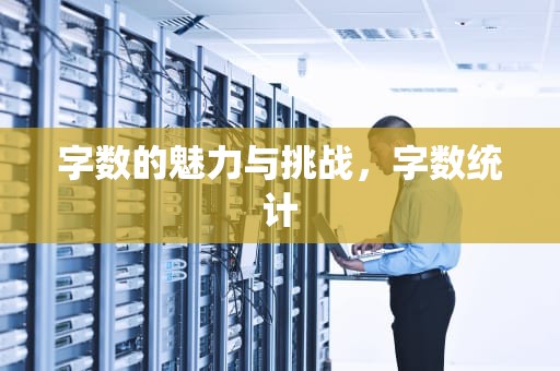 字数的魅力与挑战，字数统计