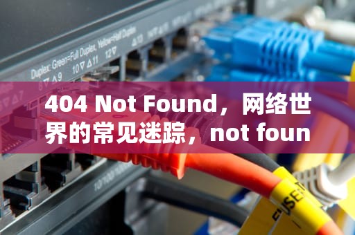 404 Not Found，网络世界的常见迷踪，not found翻译成中文