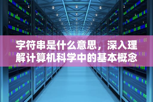 字符串是什么意思，深入理解计算机科学中的基本概念，字符串用什么符号表示