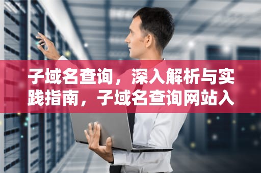 子域名查询，深入解析与实践指南，子域名查询网站入口