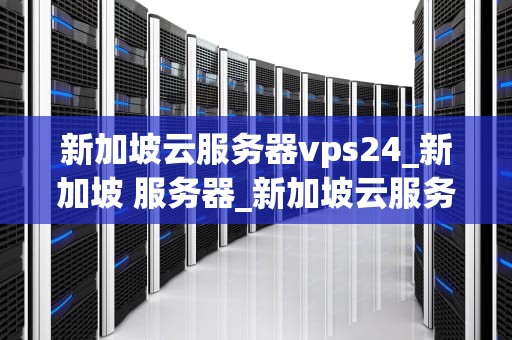 新加坡云服务器vps24_新加坡 服务器_新加坡云服务器VPS24的优势与应用
