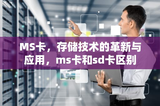 MS卡，存储技术的革新与应用，ms卡和sd卡区别