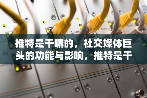 推特是干嘛的，社交媒体巨头的功能与影响，推特是干嘛的有什么用