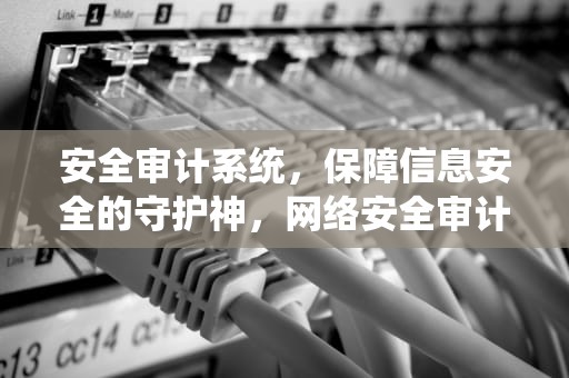 安全审计系统，保障信息安全的守护神，网络安全审计系统