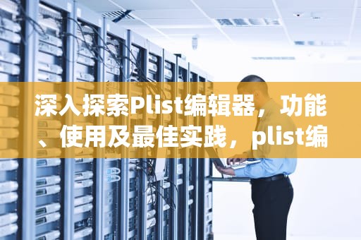 深入探索Plist编辑器，功能、使用及最佳实践，plist编辑器手机版