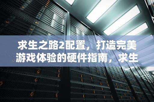 求生之路2配置，打造完美游戏体验的硬件指南，求生之路2配置要求