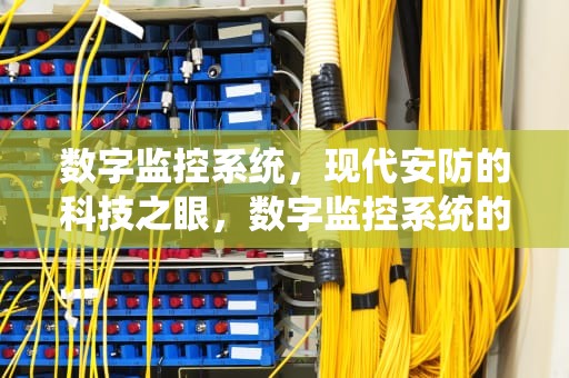数字监控系统，现代安防的科技之眼，数字监控系统的组成