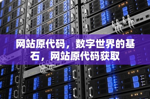 网站原代码，数字世界的基石，网站原代码获取
