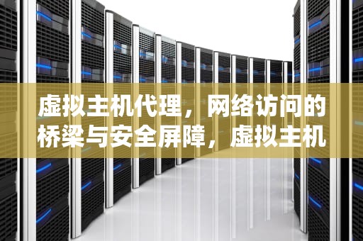 虚拟主机代理，网络访问的桥梁与安全屏障，虚拟主机代理系统