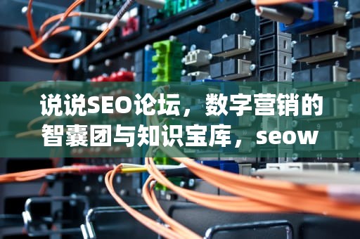 说说SEO论坛，数字营销的智囊团与知识宝库，seowhy论坛