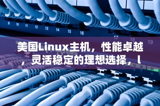 美国Linux主机，性能卓越，灵活稳定的理想选择，linux 美国