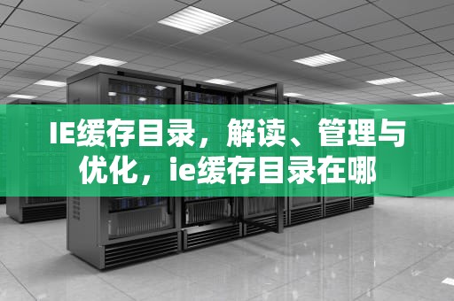 IE缓存目录，解读、管理与优化，ie缓存目录在哪