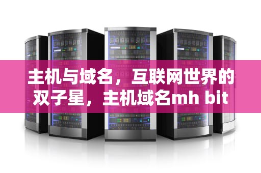主机与域名，互联网世界的双子星，主机域名mh bit edu cn中最高域