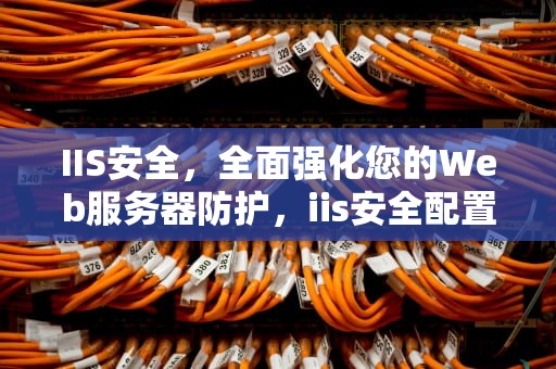 IIS安全，全面强化您的Web服务器防护，iis安全配置