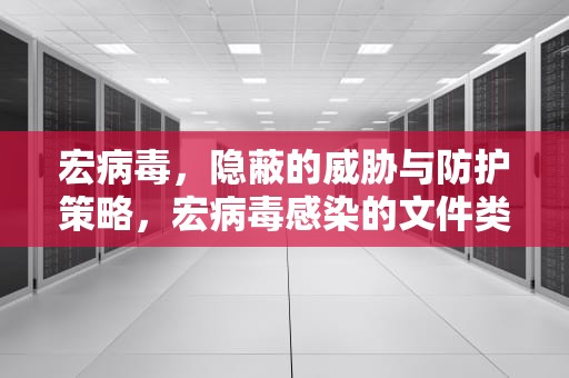 宏病毒，隐蔽的威胁与防护策略，宏病毒感染的文件类型