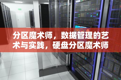 分区魔术师，数据管理的艺术与实践，硬盘分区魔术师