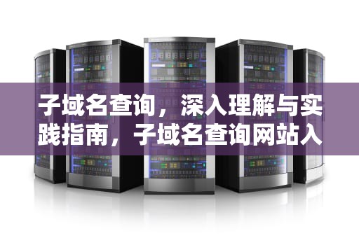 子域名查询，深入理解与实践指南，子域名查询网站入口