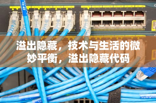 溢出隐藏，技术与生活的微妙平衡，溢出隐藏代码