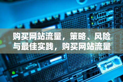 购买网站流量，策略、风险与最佳实践，购买网站流量的软件