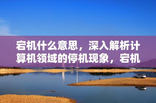 宕机什么意思，深入解析计算机领域的停机现象，宕机什么意思网络用语