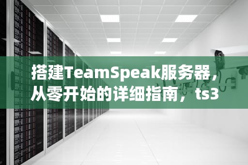 搭建TeamSpeak服务器，从零开始的详细指南，ts3服务器