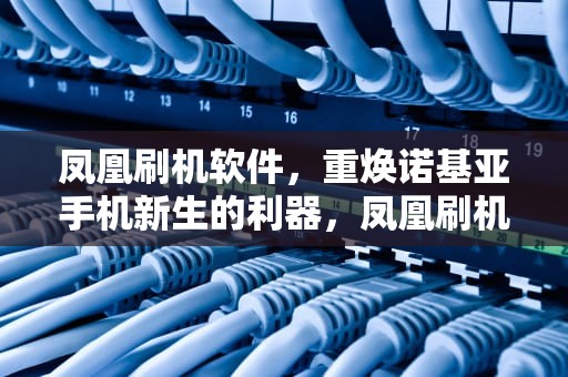 凤凰刷机软件，重焕诺基亚手机新生的利器，凤凰刷机软件刷机