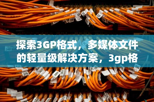 探索3GP格式，多媒体文件的轻量级解决方案，3gp格式转换器