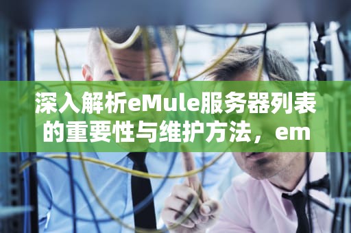 深入解析eMule服务器列表的重要性与维护方法，emule服务器列表是空的