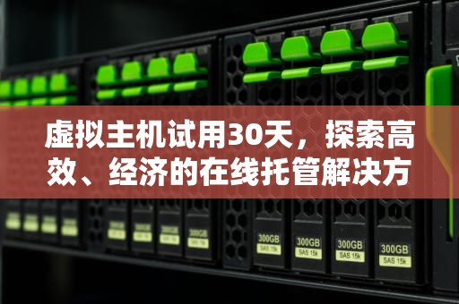 虚拟主机试用30天，探索高效、经济的在线托管解决方案，虚拟主机试用30天什么意思