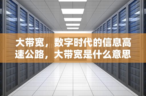 大带宽，数字时代的信息高速公路，大带宽是什么意思
