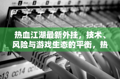 热血江湖最新外挂，技术、风险与游戏生态的平衡，热血江湖内置挂机
