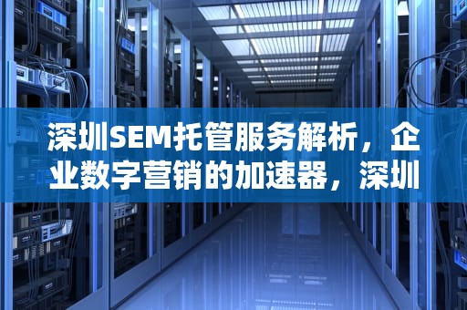 深圳SEM托管服务解析，企业数字营销的加速器，深圳sem托管公司