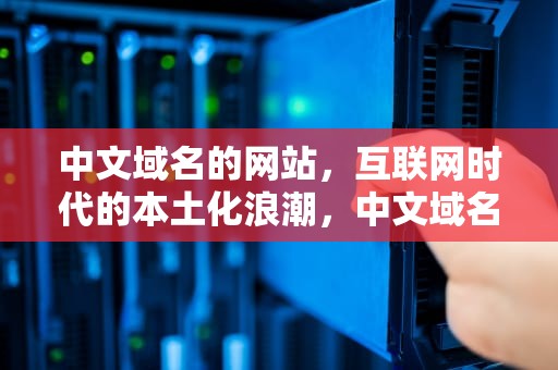 中文域名的网站，互联网时代的本土化浪潮，中文域名的网站有哪些