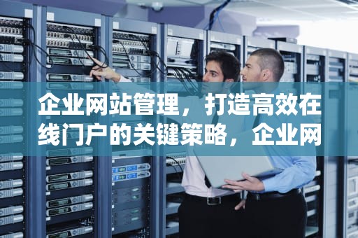 企业网站管理，打造高效在线门户的关键策略，企业网站管理系统