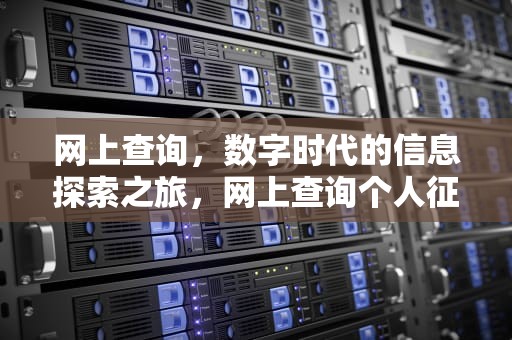 网上查询，数字时代的信息探索之旅，网上查询个人征信报告