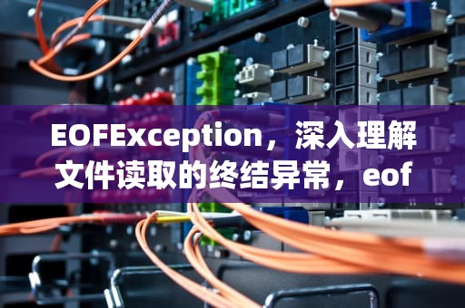 EOFException，深入理解文件读取的终结异常，eofexception产生原因