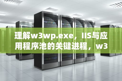 理解w3wp.exe，IIS与应用程序池的关键进程，w3wp.exe是什么程序