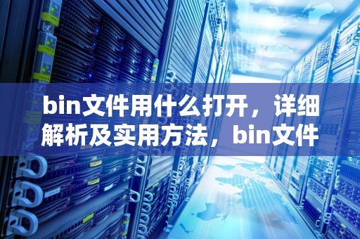 bin文件用什么打开，详细解析及实用方法，bin文件用什么打开方式