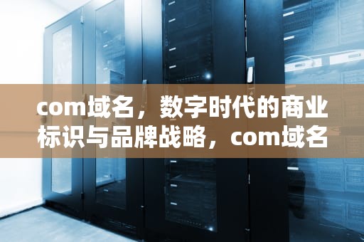 com域名，数字时代的商业标识与品牌战略，com域名多少钱一年