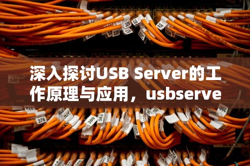 深入探讨USB Server的工作原理与应用，usbserver设备