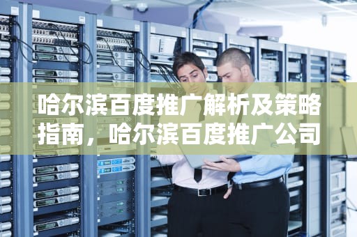 哈尔滨百度推广解析及策略指南，哈尔滨百度推广公司