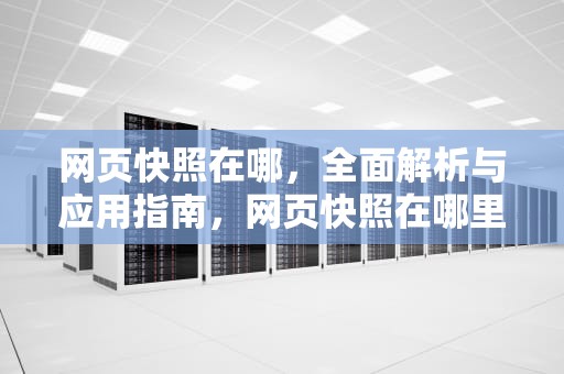 网页快照在哪，全面解析与应用指南，网页快照在哪里