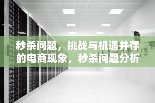 秒杀问题，挑战与机遇并存的电商现象，秒杀问题分析