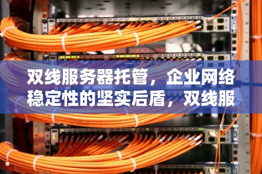 双线服务器托管，企业网络稳定性的坚实后盾，双线服务器租用托管